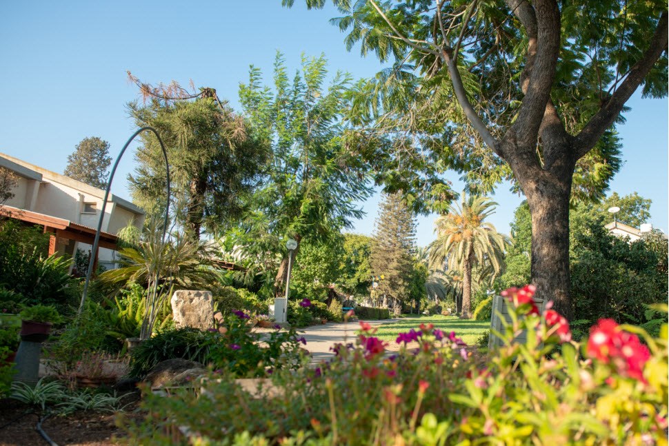 כפר נופש מזרע לחוות את הקיבוץ