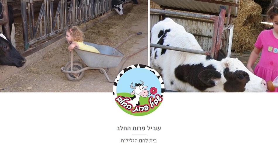 לינה וביקור באטרקציה "שביל החלב"